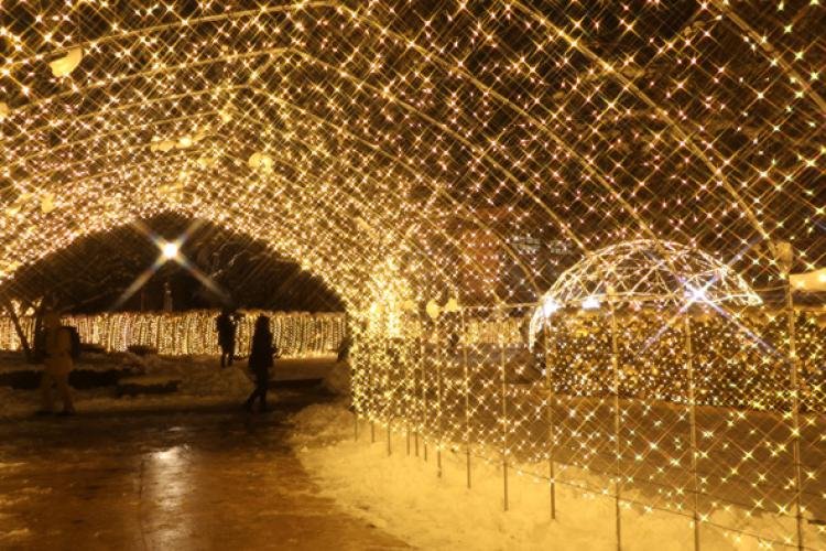 🏞️ 모리오카시 동물공원 줌오 이미지 10